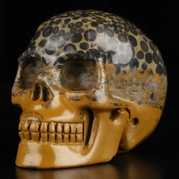 Leopardenhaut Jaspis Skull